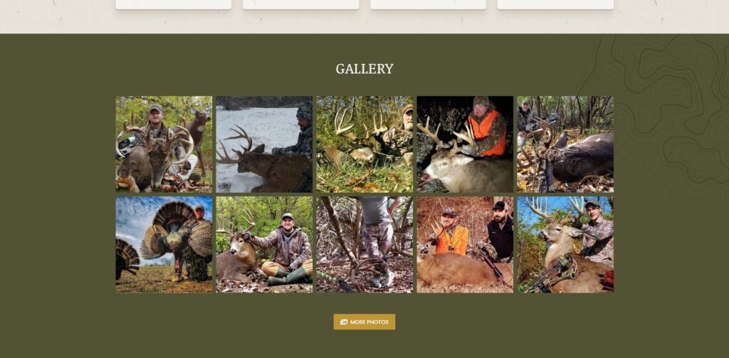 Lost Shed Lodge - Portfolio Gallery