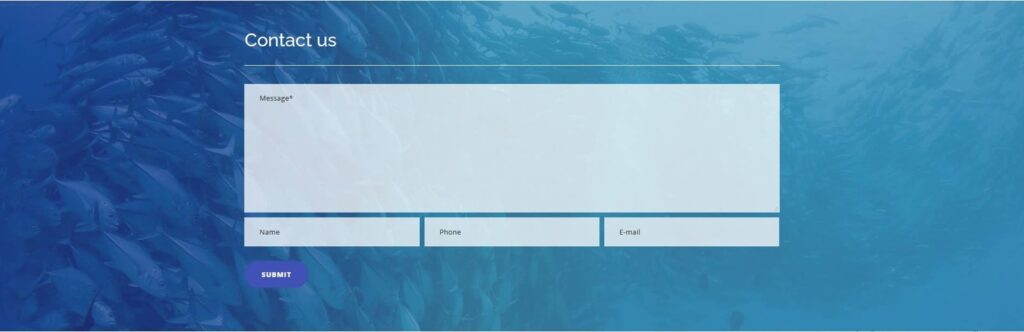 Slavianka Portfolio Contact Form